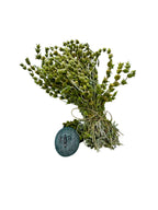 Greek Mountain Tea Whole Loose Herbal Tea ~ Sideritis Raeseri