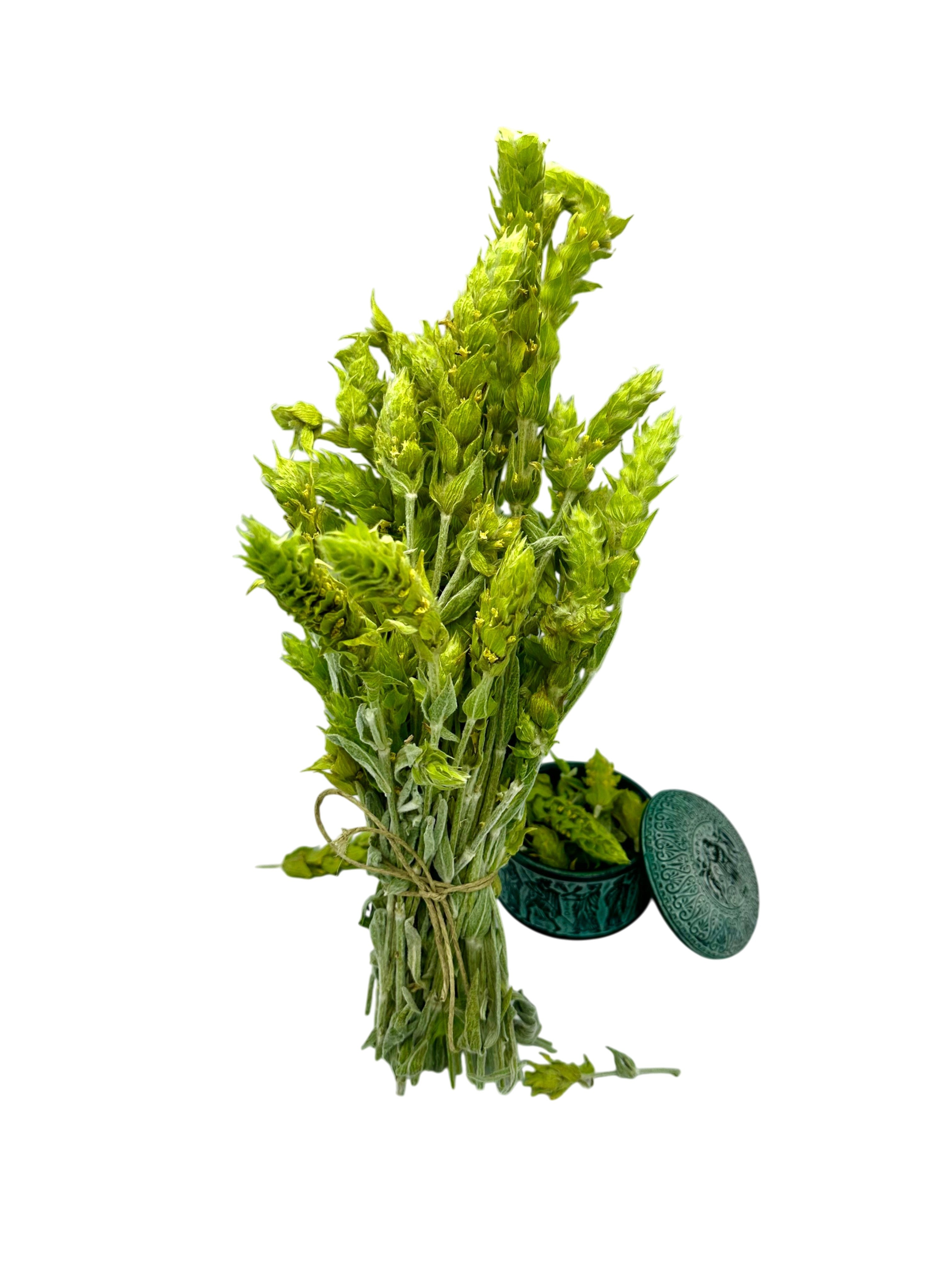 Greek Olympus Mountain Whole Herbal Tea ~ Sideritis Scardica
