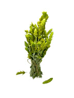 Greek Olympus Mountain Whole Herbal Tea ~ Sideritis Scardica
