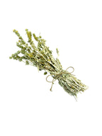 Greek Mountain Tea Sideritis Syriaca ~ Malotira Cretan Tea