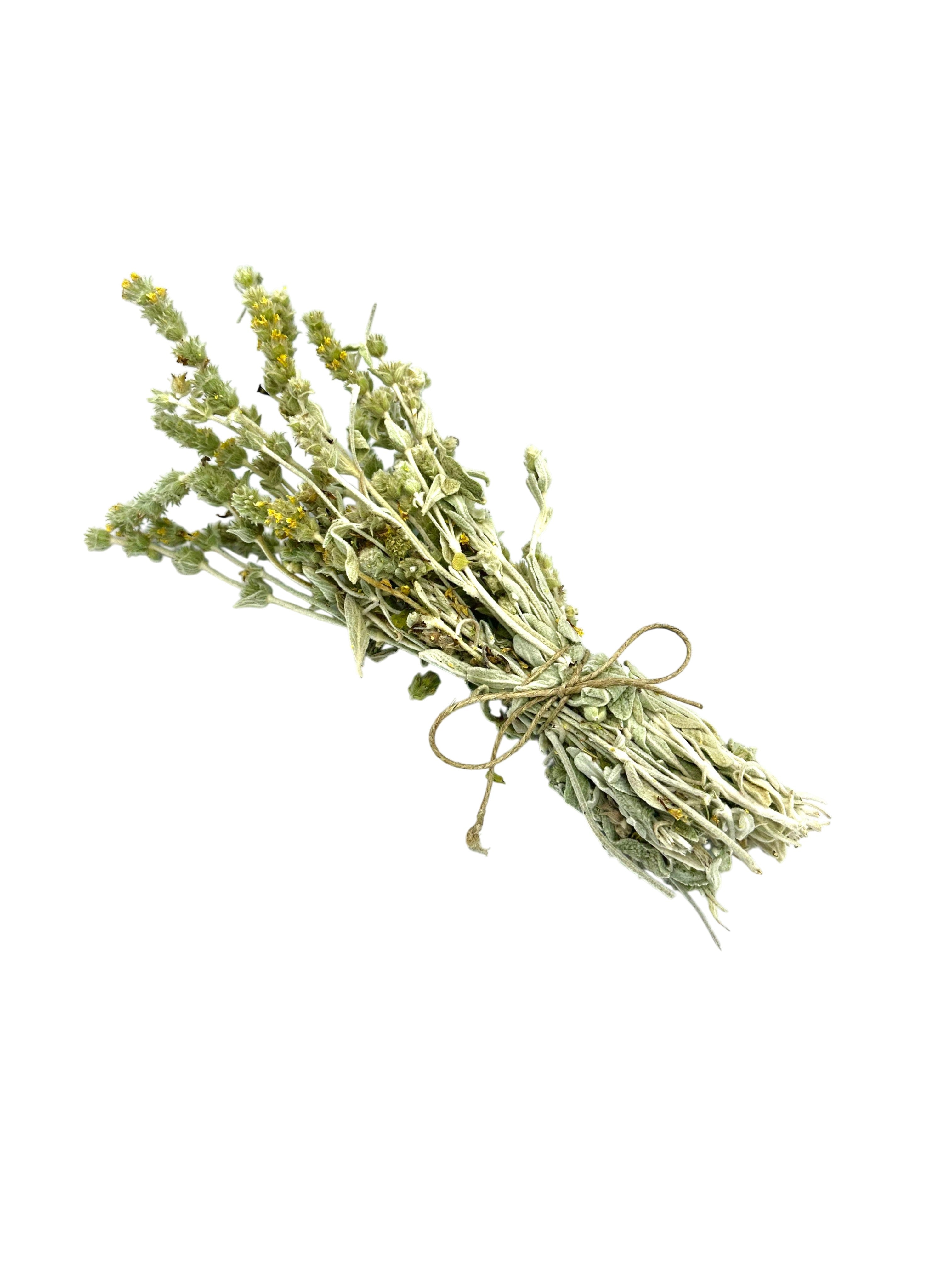 Greek Mountain Tea Sideritis Syriaca ~ Malotira Cretan Tea