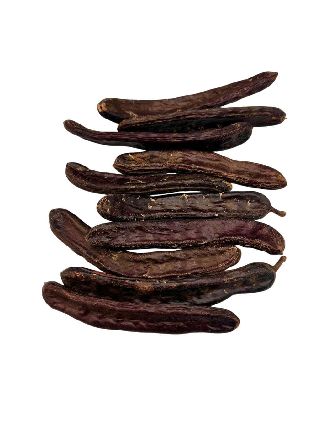 Carob Pods Greek Whole Dried Carob Pods ~ Ceratonia Siliqua