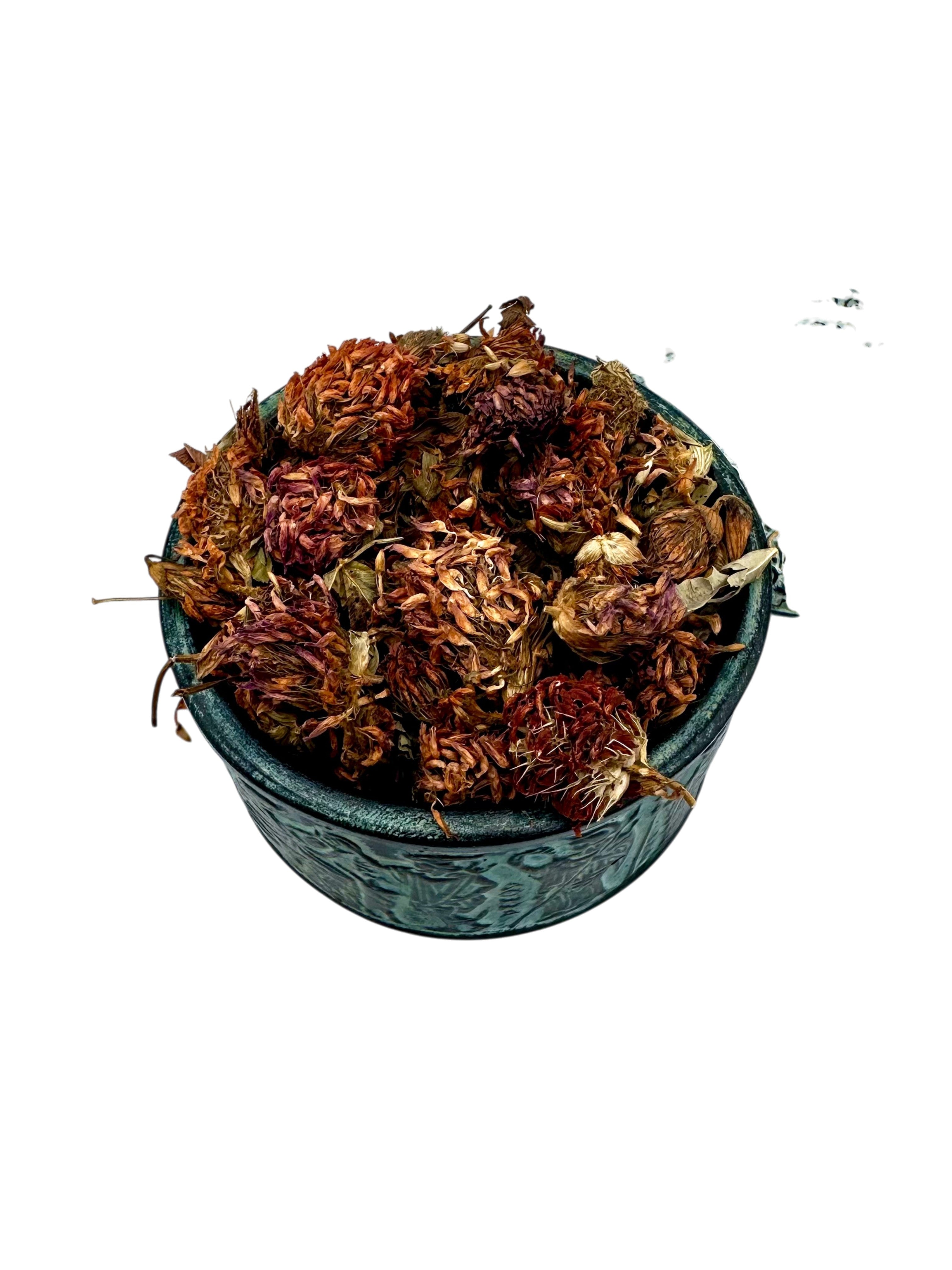 Red Clover Dried Flowers Loose Herbal Tea ~ Trifolium Pratense