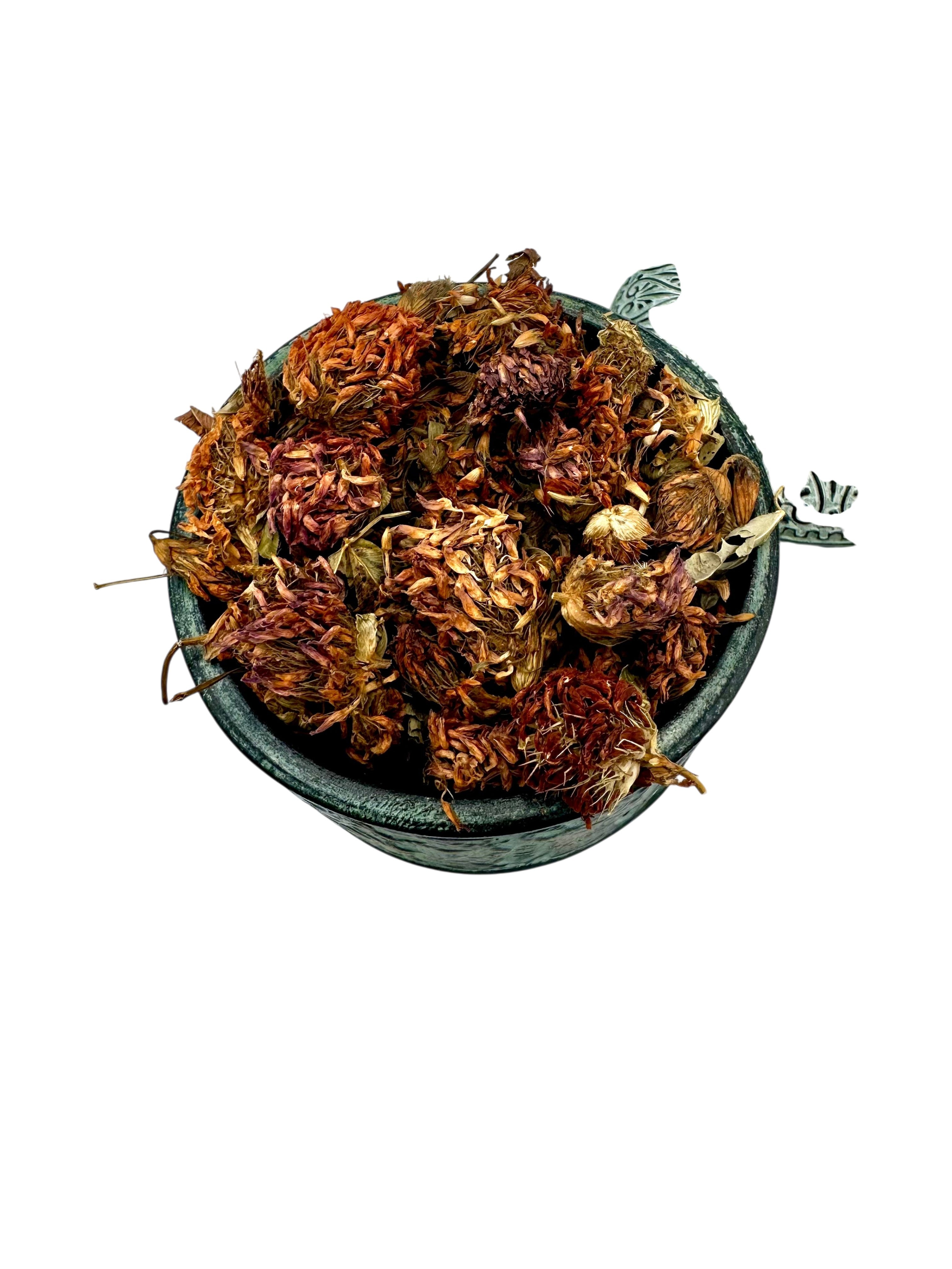 Red Clover Dried Flowers Loose Herbal Tea ~ Trifolium Pratense