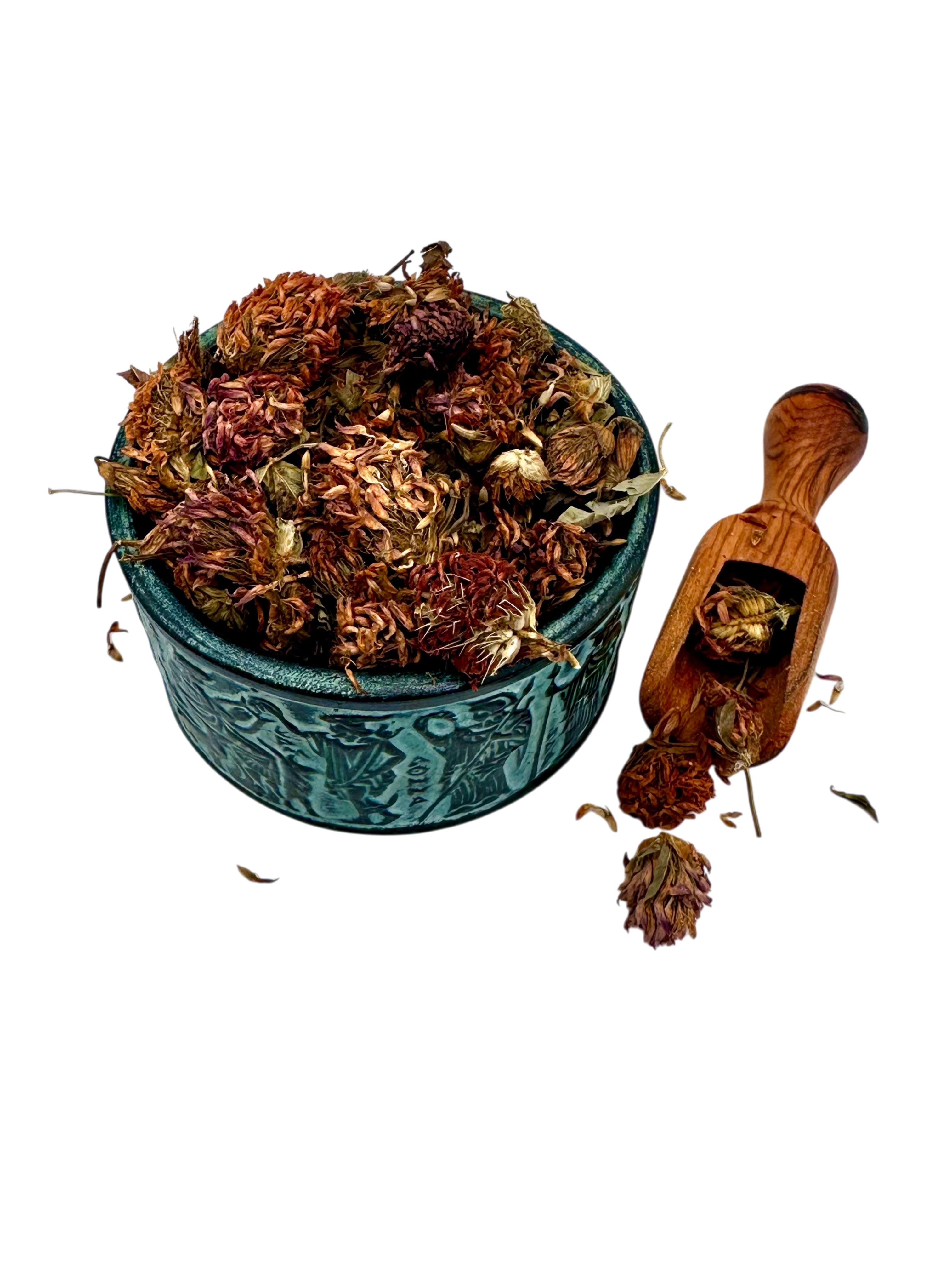 Red Clover Dried Flowers Loose Herbal Tea ~ Trifolium Pratense