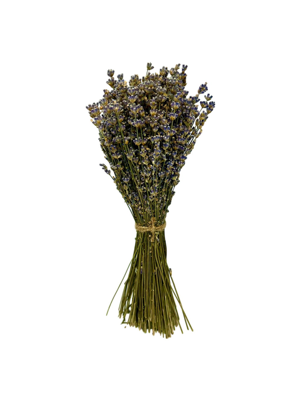 Greek Dried Lavender Whole Bunch ~ Lavandula angustifolia