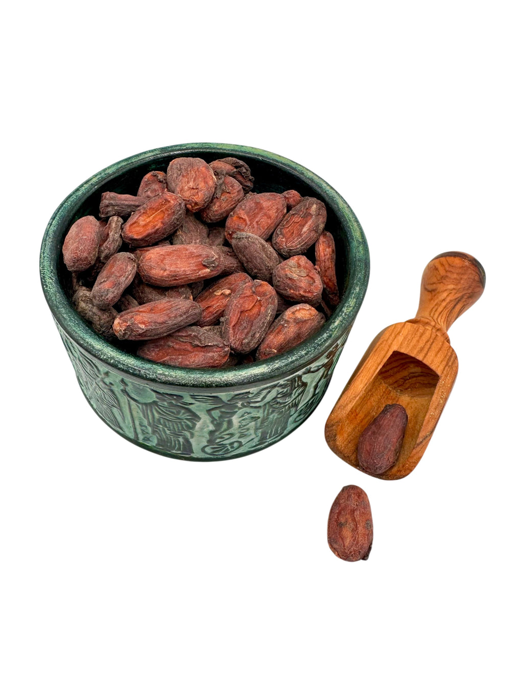 Raw Criollo Whole Cacao Beans ~ Theobroma cacao