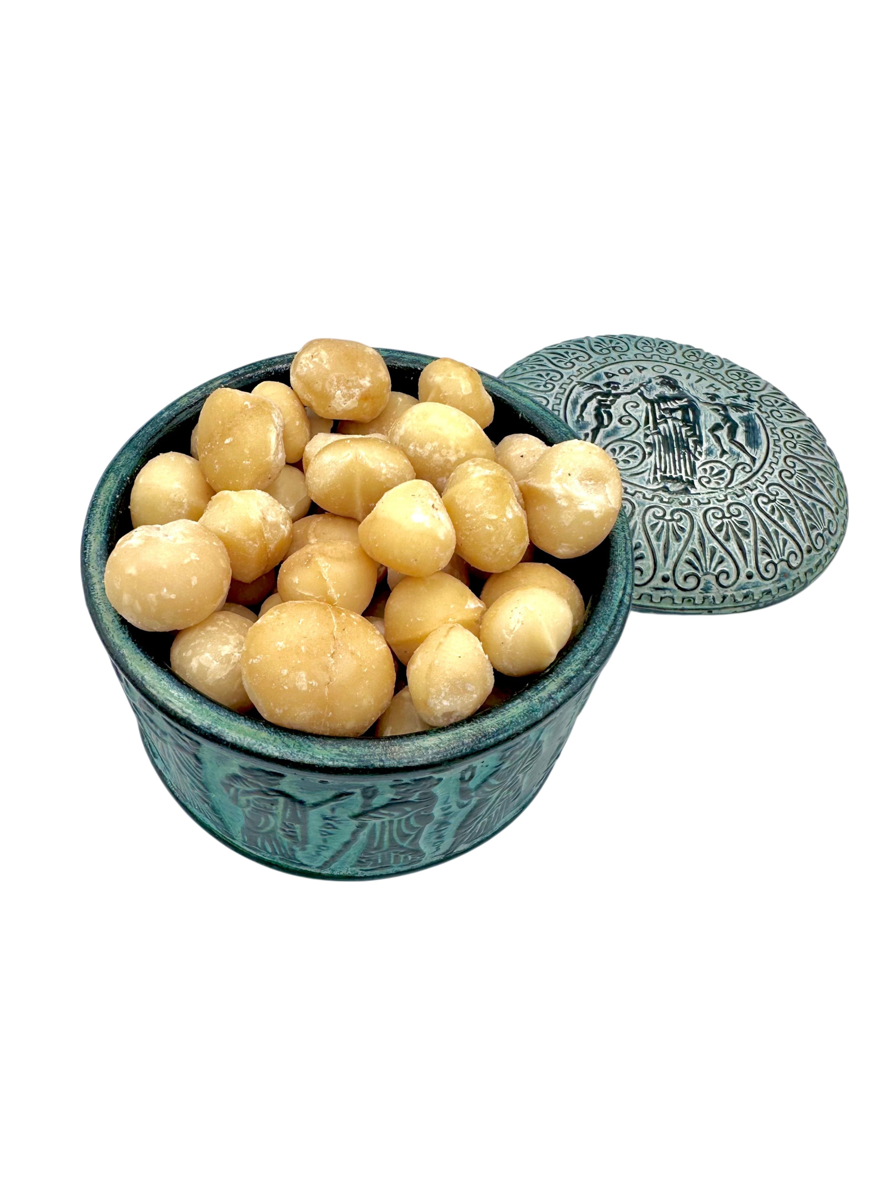 Raw Macadamia Whole Nuts ~ Macadamia Metraphylla
