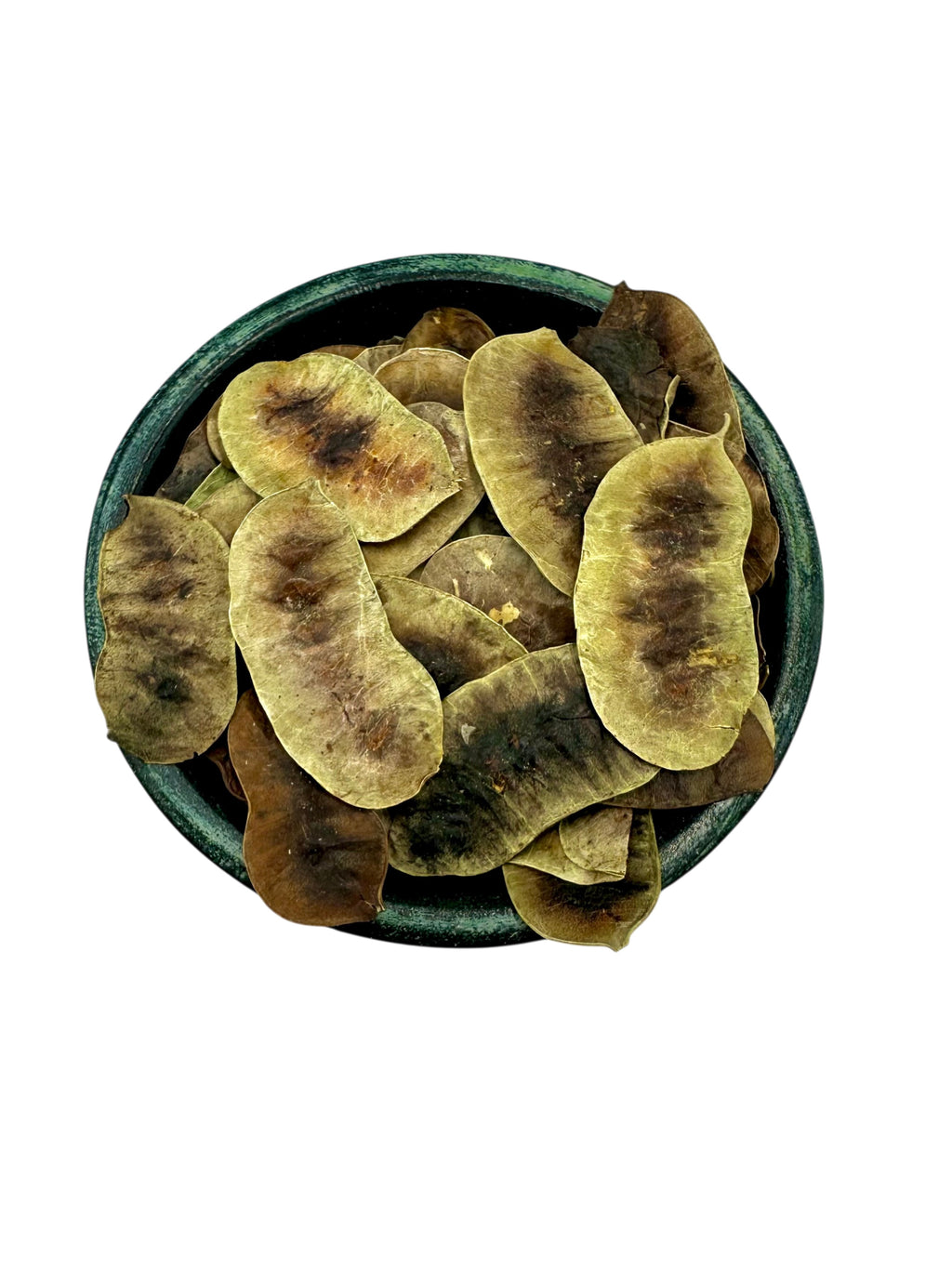 Dried Senna Pods ~ Senna Alexandrina