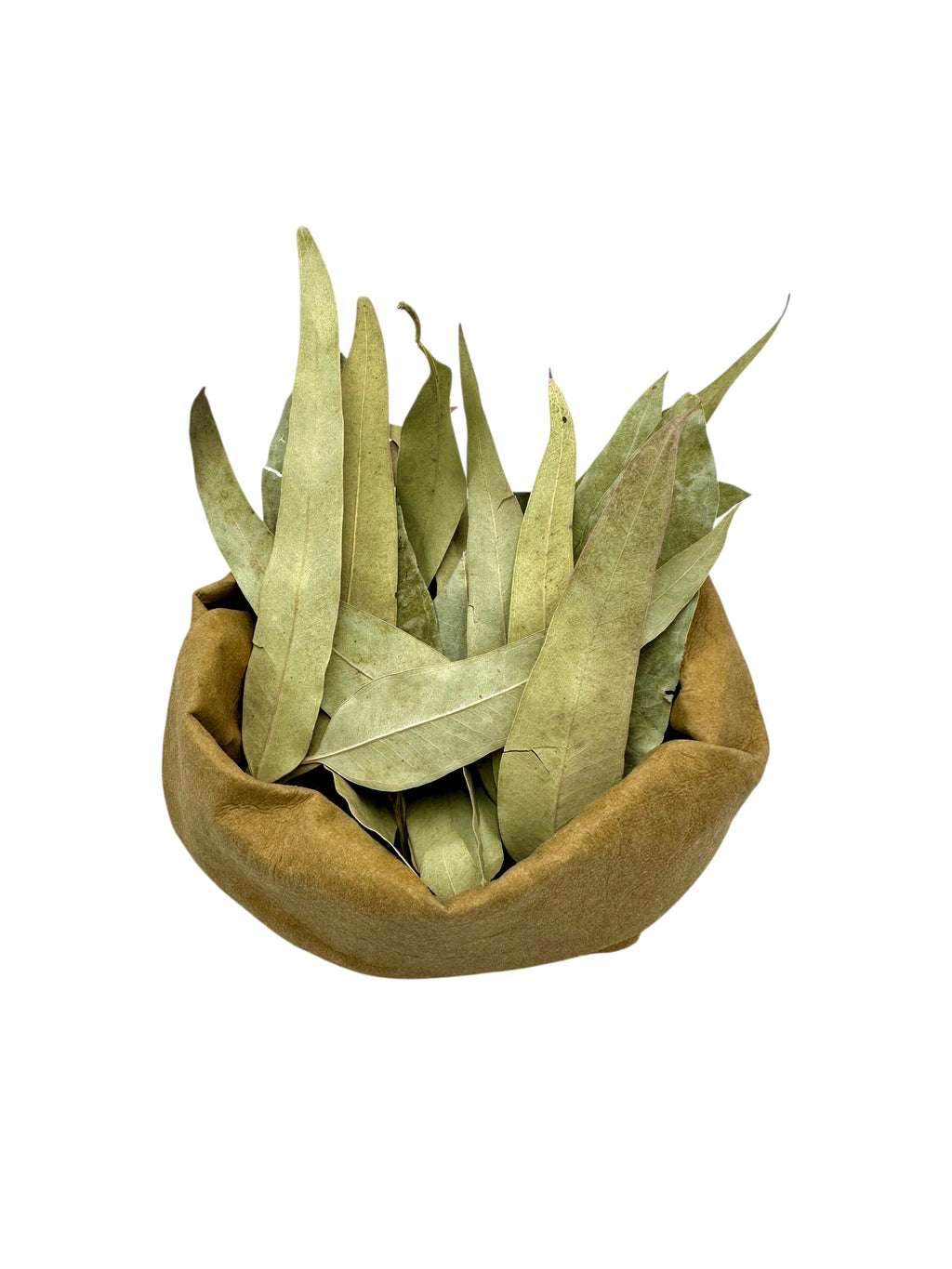 Eucalyptus Dried Leaves Loose Herbal Tea ~ Eucalyptus Globulus