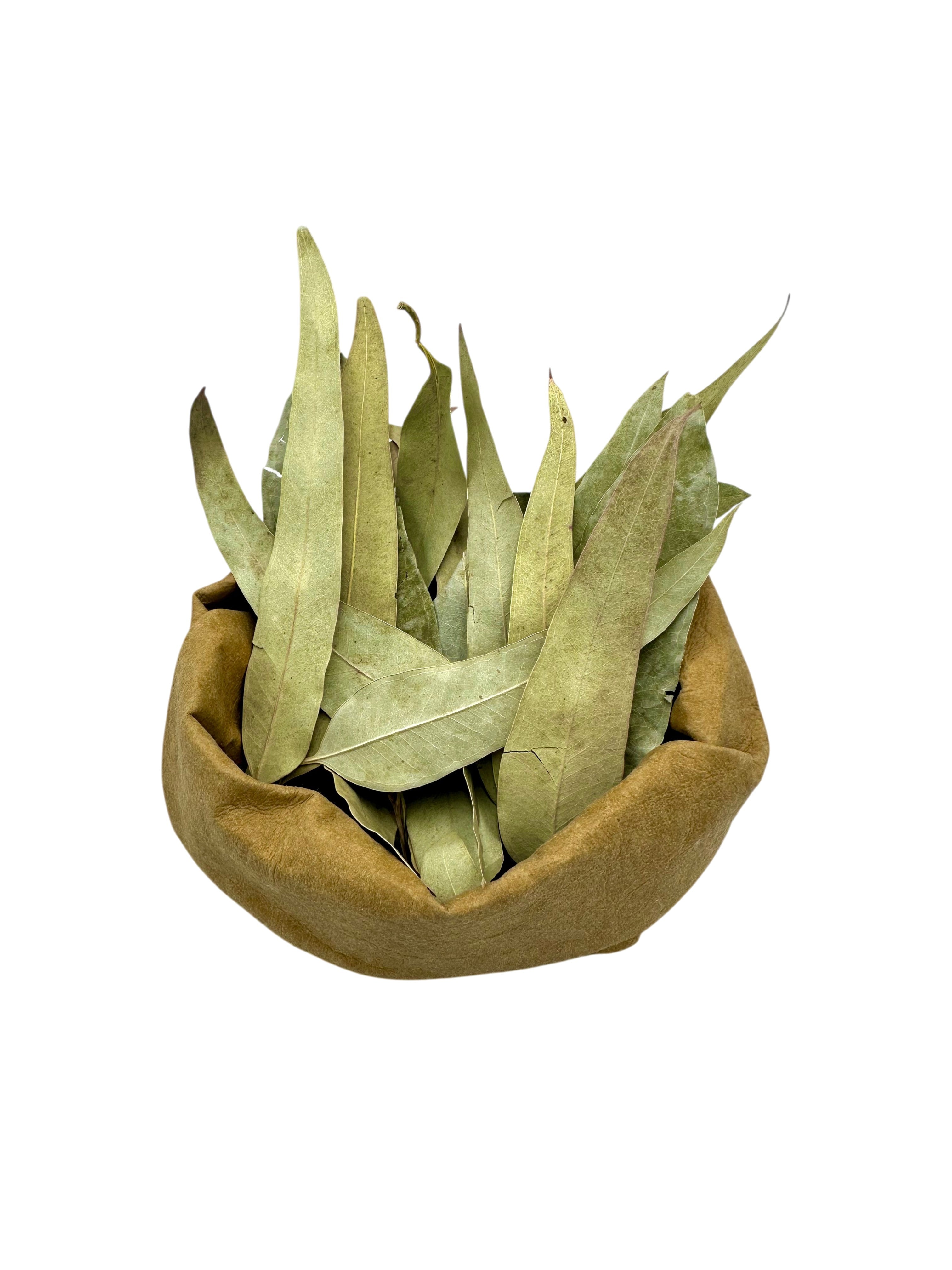Eucalyptus Dried Leaves Loose Herbal Tea ~ Eucalyptus Globulus