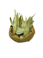 Eucalyptus Dried Leaves Loose Herbal Tea ~ Eucalyptus Globulus