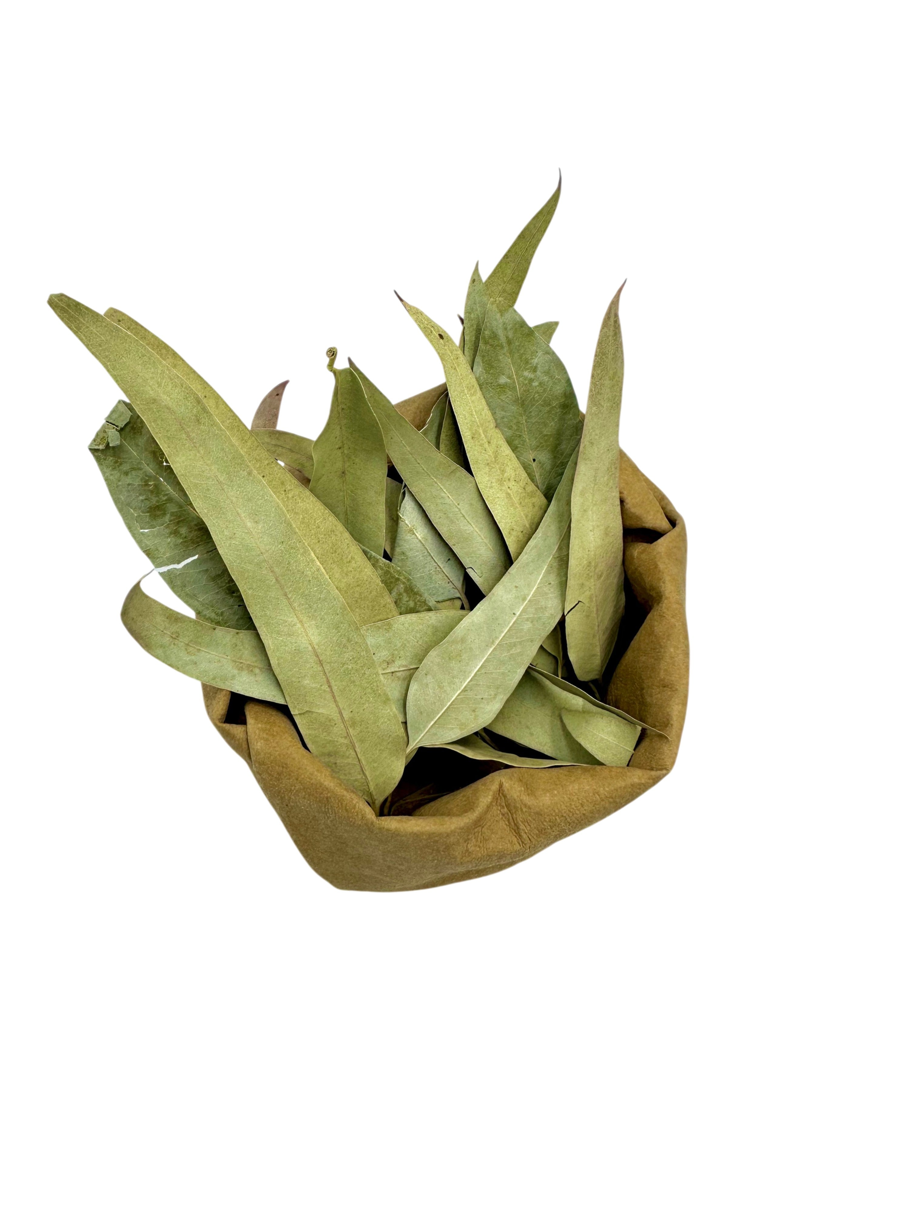 Eucalyptus Dried Leaves Loose Herbal Tea ~ Eucalyptus Globulus
