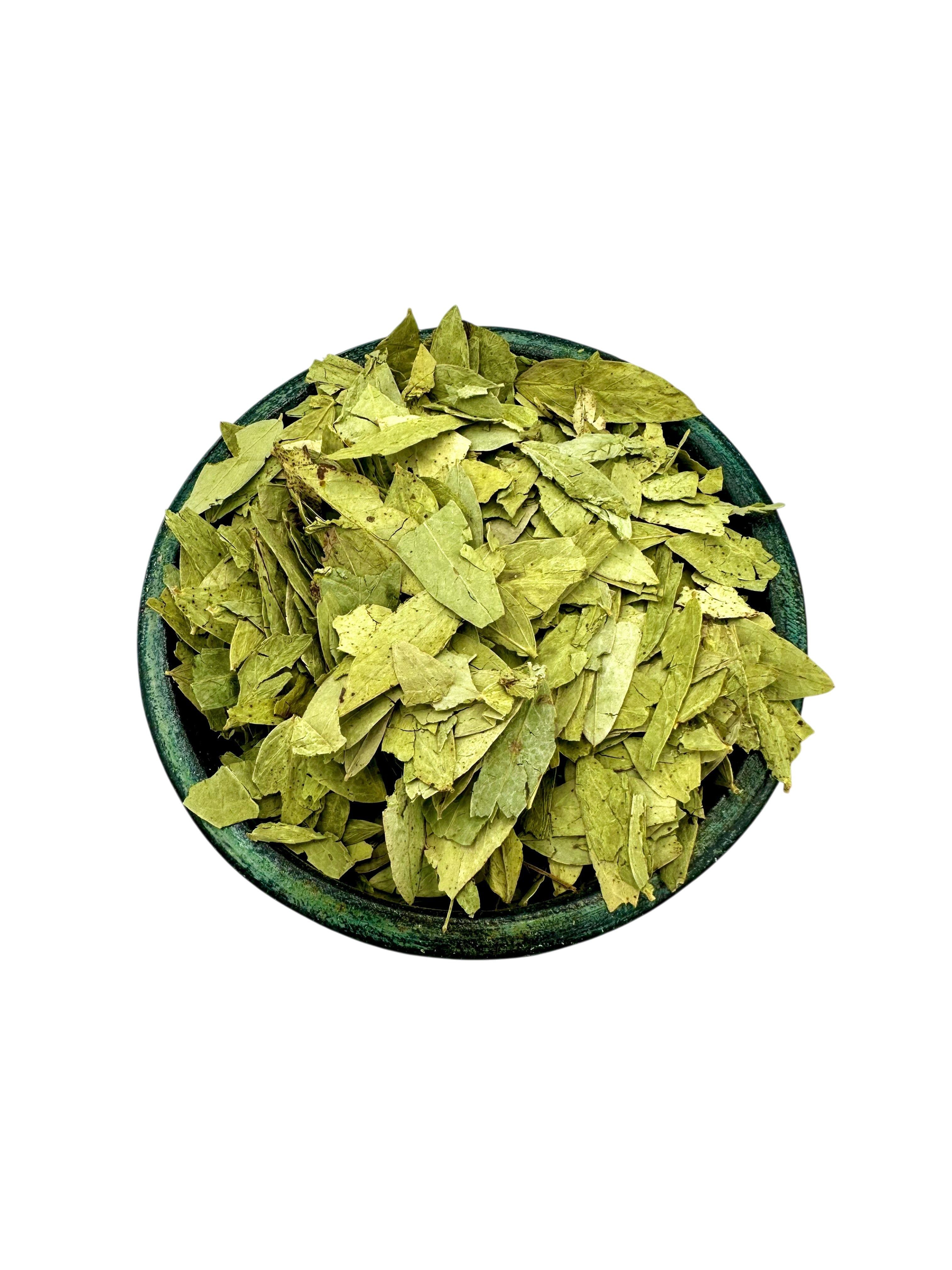 Dried Senna Leaves ~ Cassia Senna