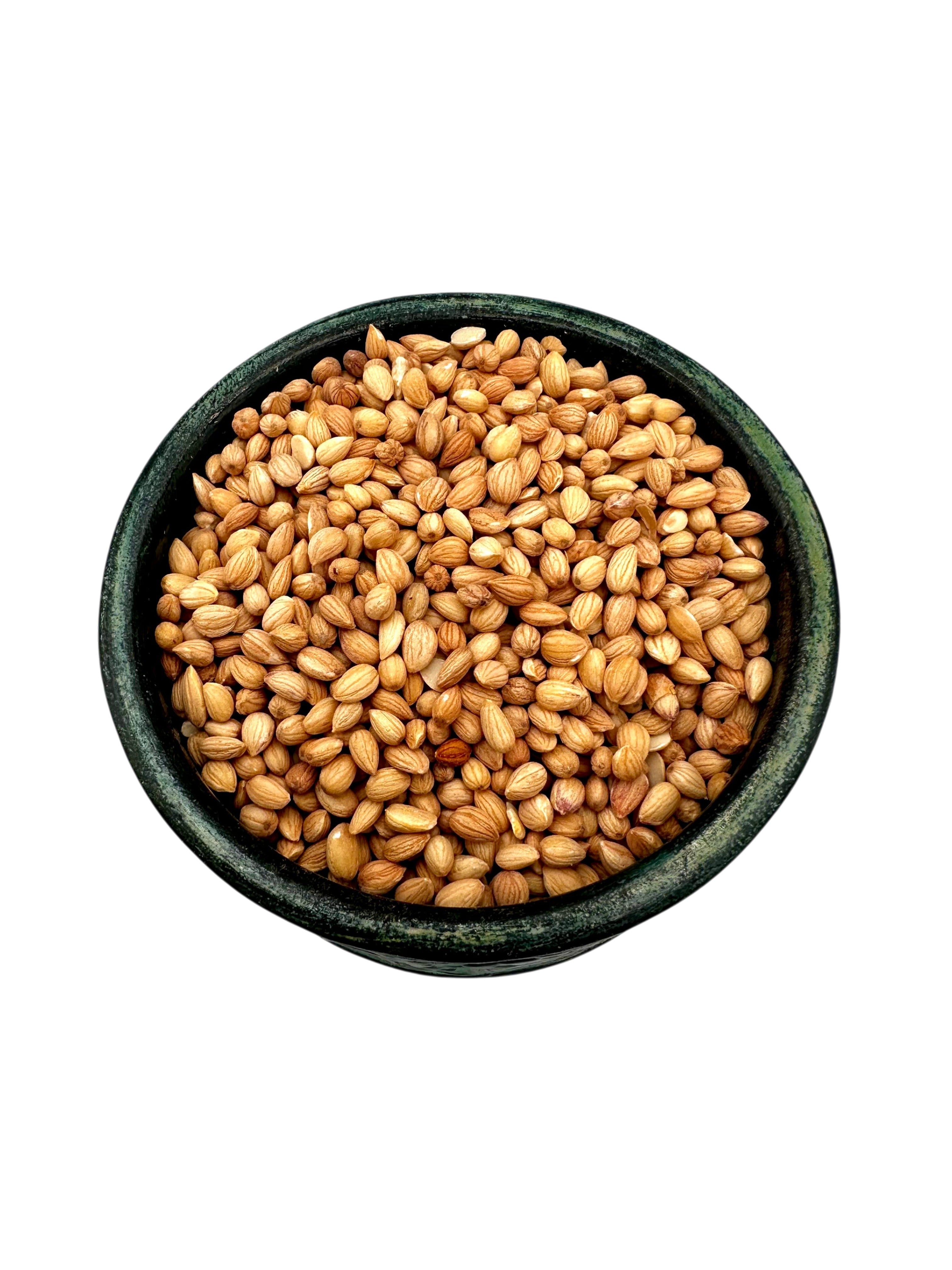 Mahlab Whole Prunus cherry Mahleb Mahlepi Mahlab Mahlep Seed