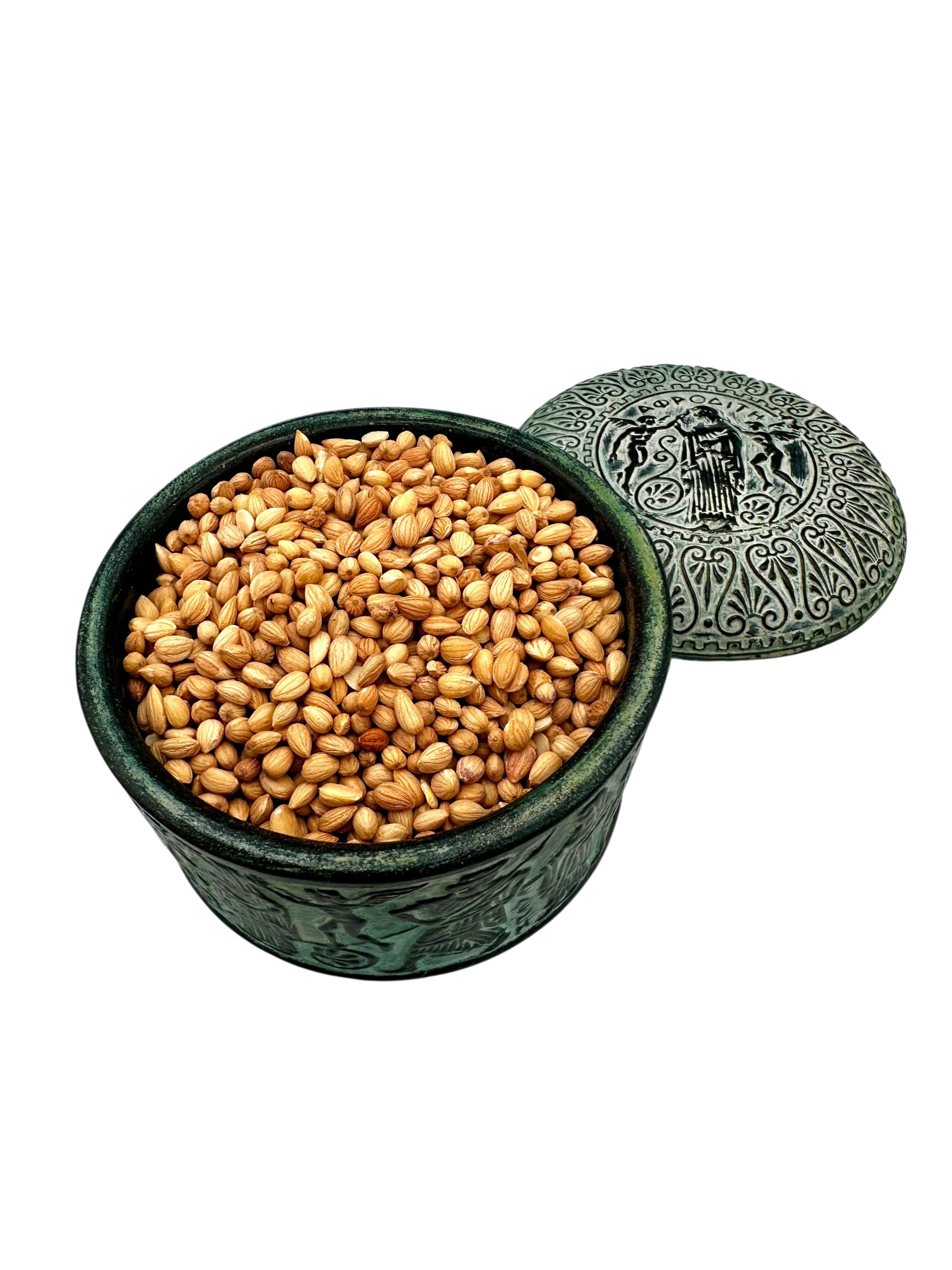Mahlab Whole Prunus cherry Mahleb Mahlepi Mahlab Mahlep Seed