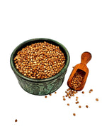 Coriander Dried Whole Seeds Cilantro Spice ~ Coriandrum Sativum