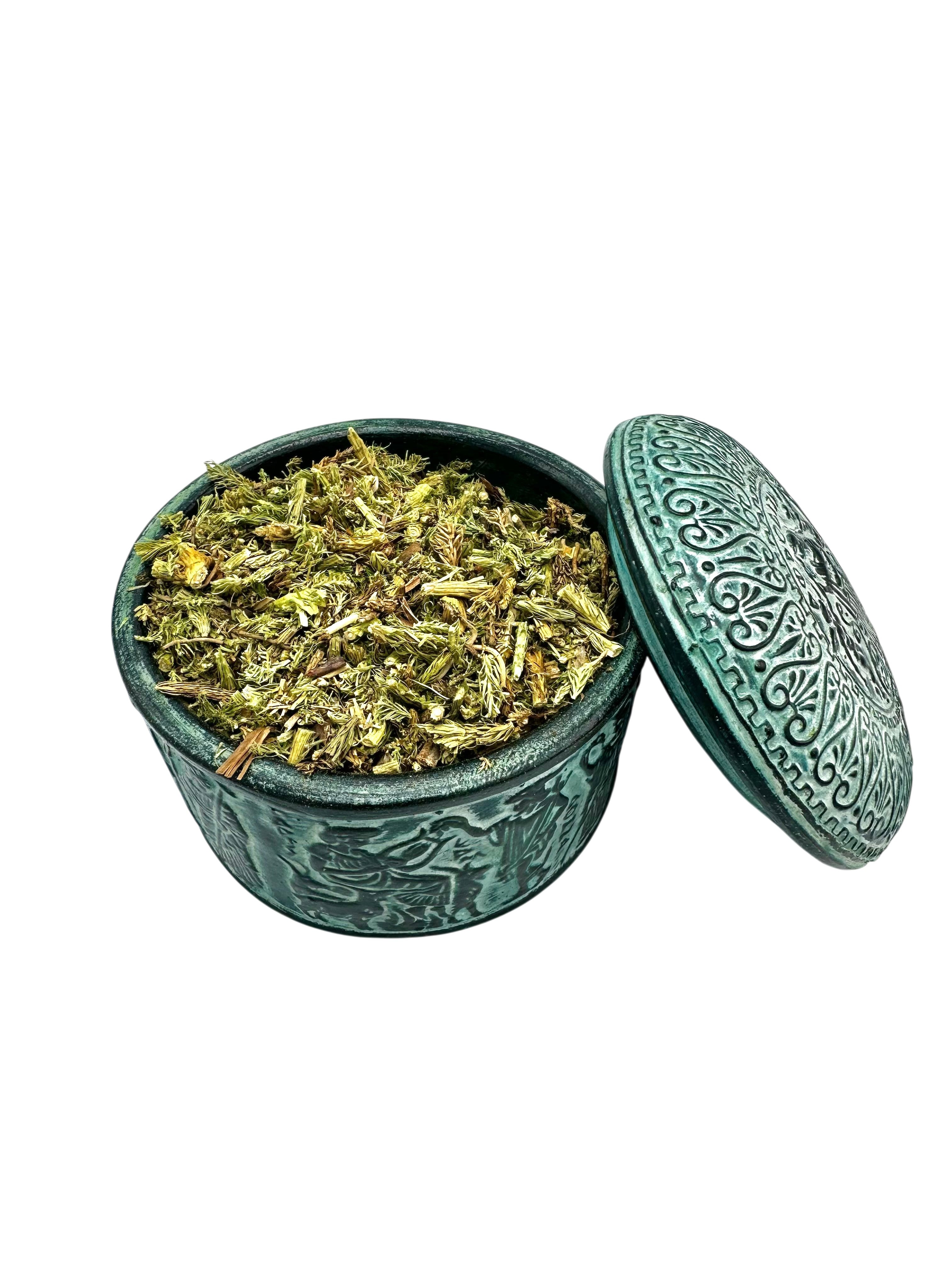 Stag's - Horn Club Moss Dried Leaves ~ Lycopodium Clavatum Herb Tea