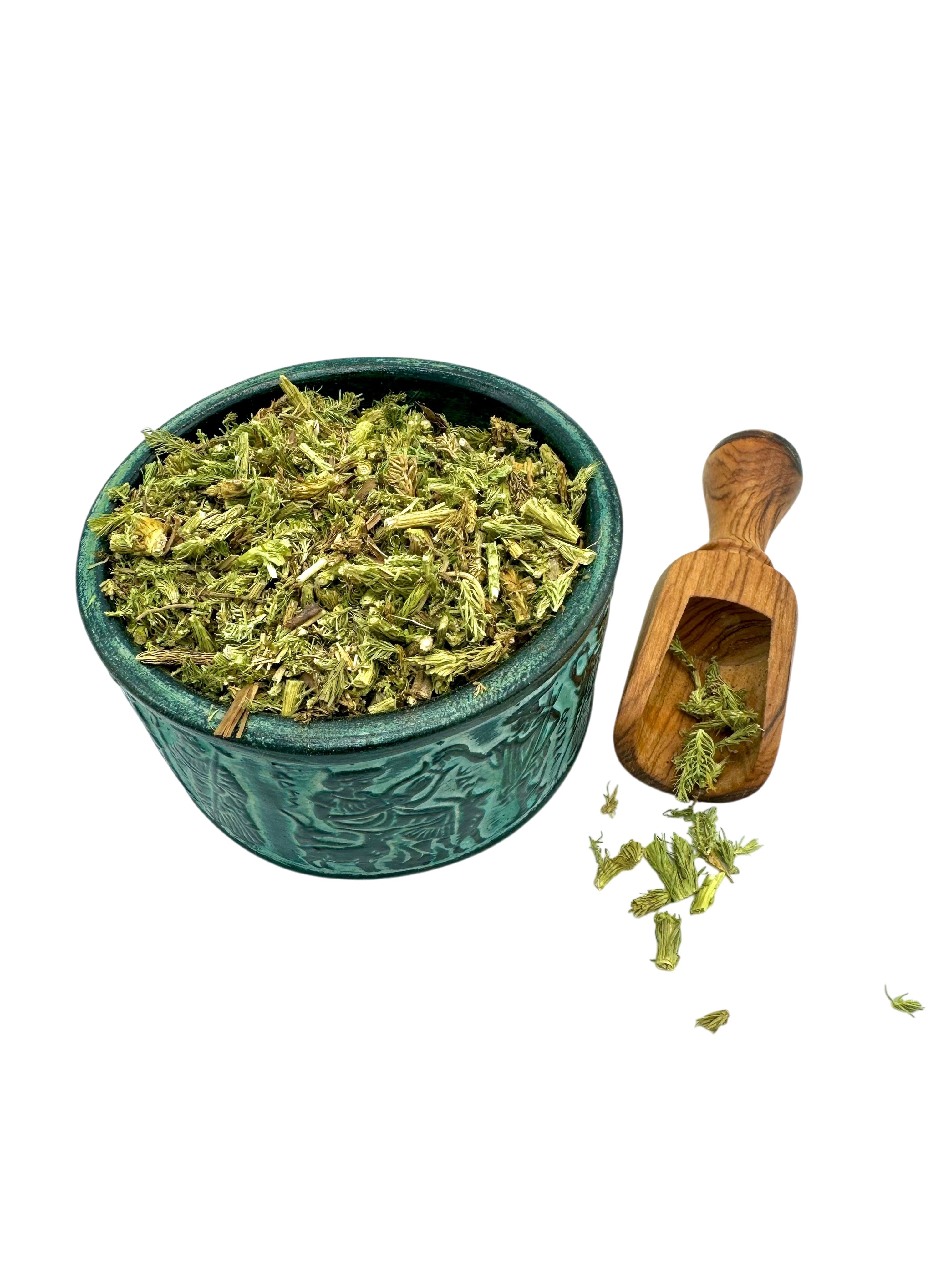 Stag's - Horn Club Moss Dried Leaves ~ Lycopodium Clavatum Herb Tea