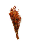 Greek St. John's Wort Herbal Tea Whole Bunch ~ Hypericum Perforatum