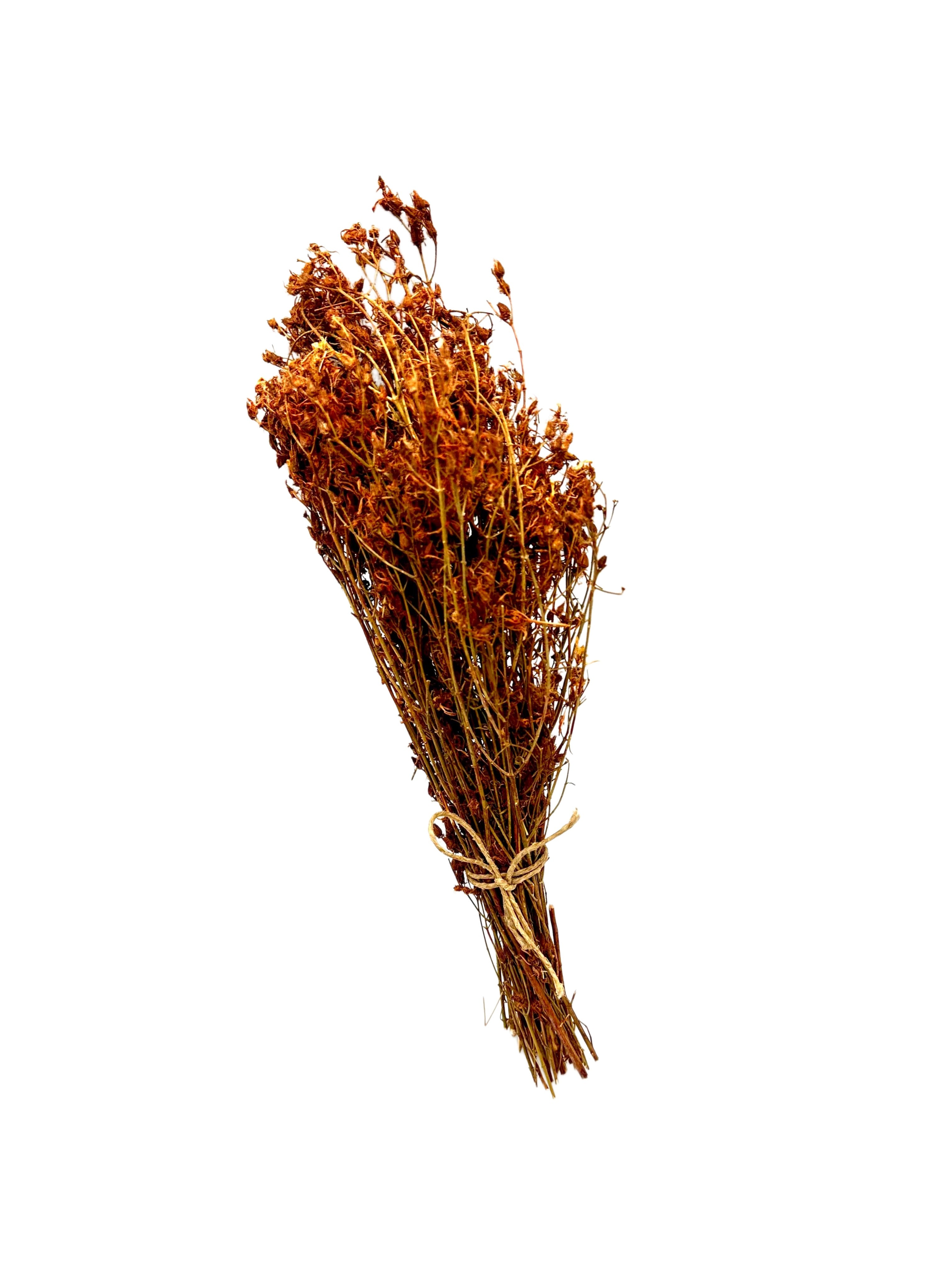 Greek St. John's Wort Herbal Tea Whole Bunch ~ Hypericum Perforatum