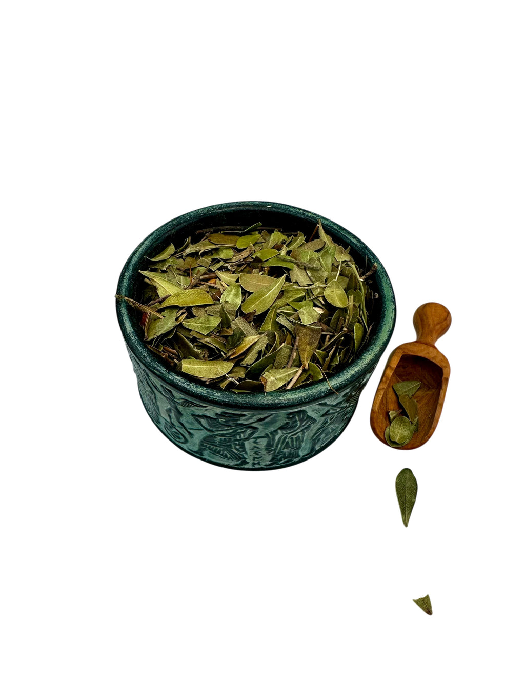 Bearberry Dried Leaves Loose Herbal Tea ~  Arctostaphylos Uva Ursi