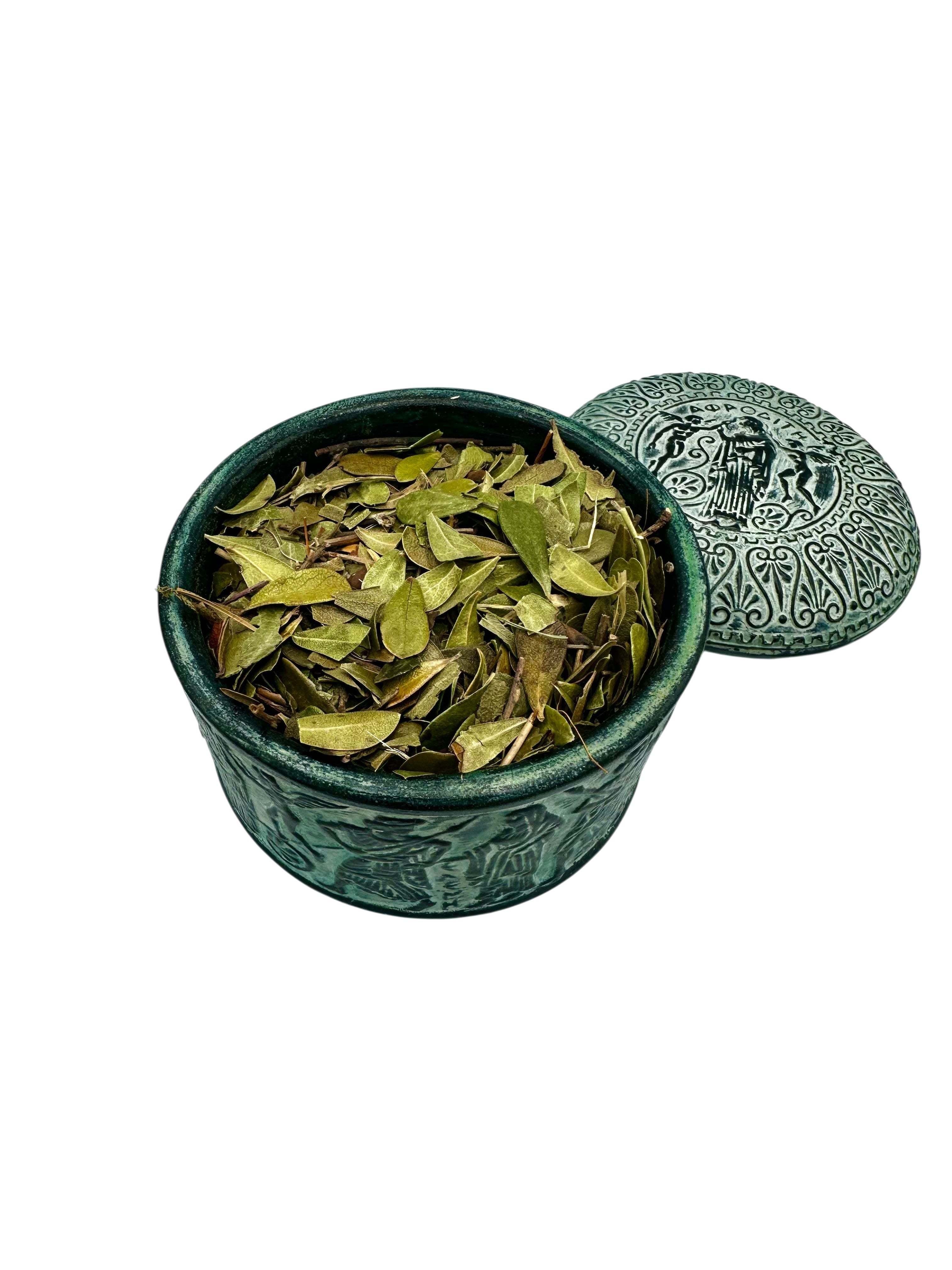 Bearberry Dried Leaves Loose Herbal Tea ~  Arctostaphylos Uva Ursi