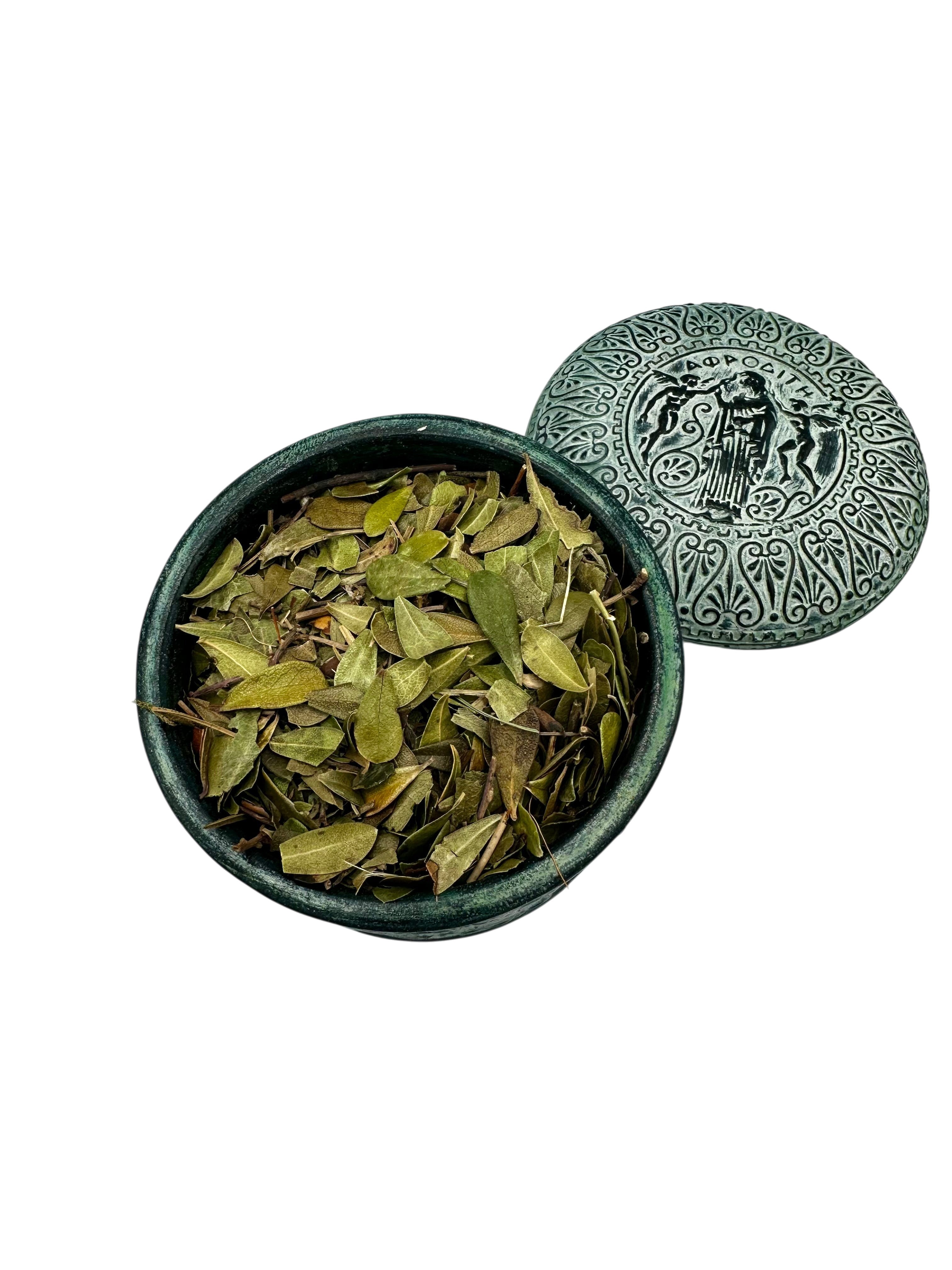 Bearberry Dried Leaves Loose Herbal Tea ~  Arctostaphylos Uva Ursi
