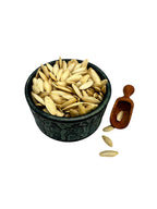 Greek Pumpkin Seeds (Roasted & Unsalted in Shell) ~  Cucurbita Pepo