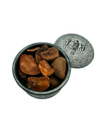 Dried Kola Nut Halves Cola Nut ~ Cola Nitida
