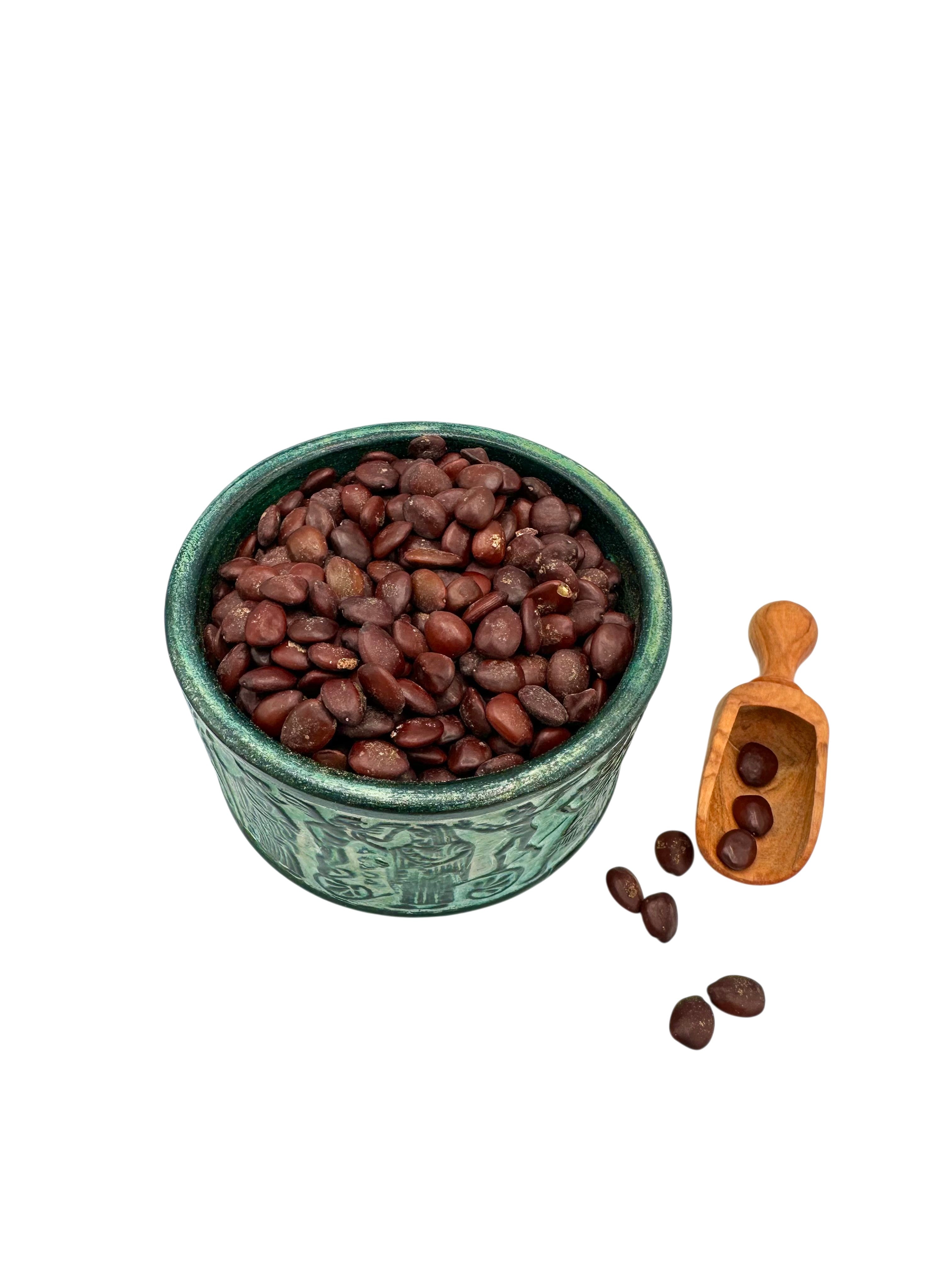 Greek Carob Whole Seeds ~ Ceratonia Siliqua