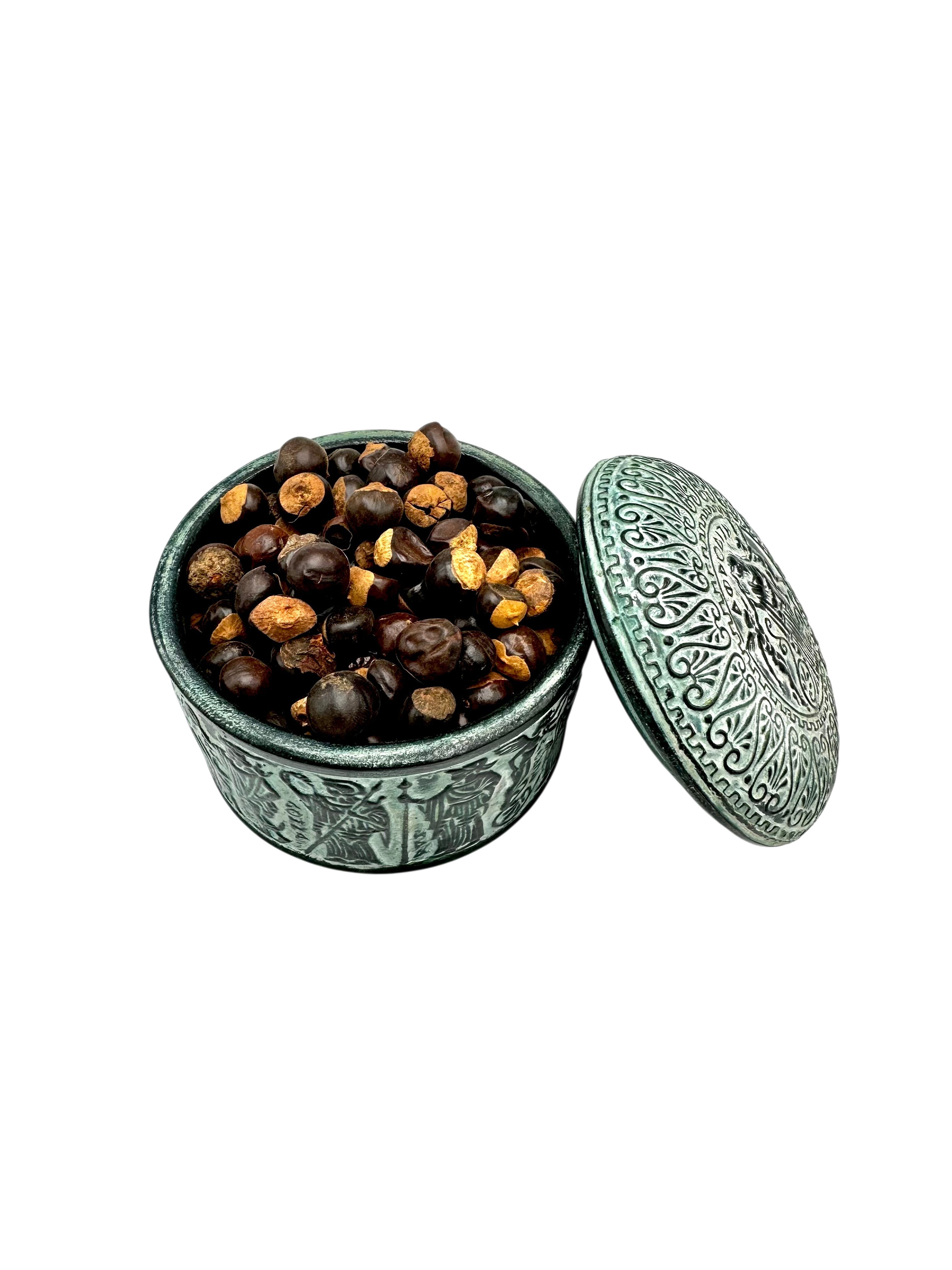 Guarana Whole Loose Seeds ~ Paullinia Cupana