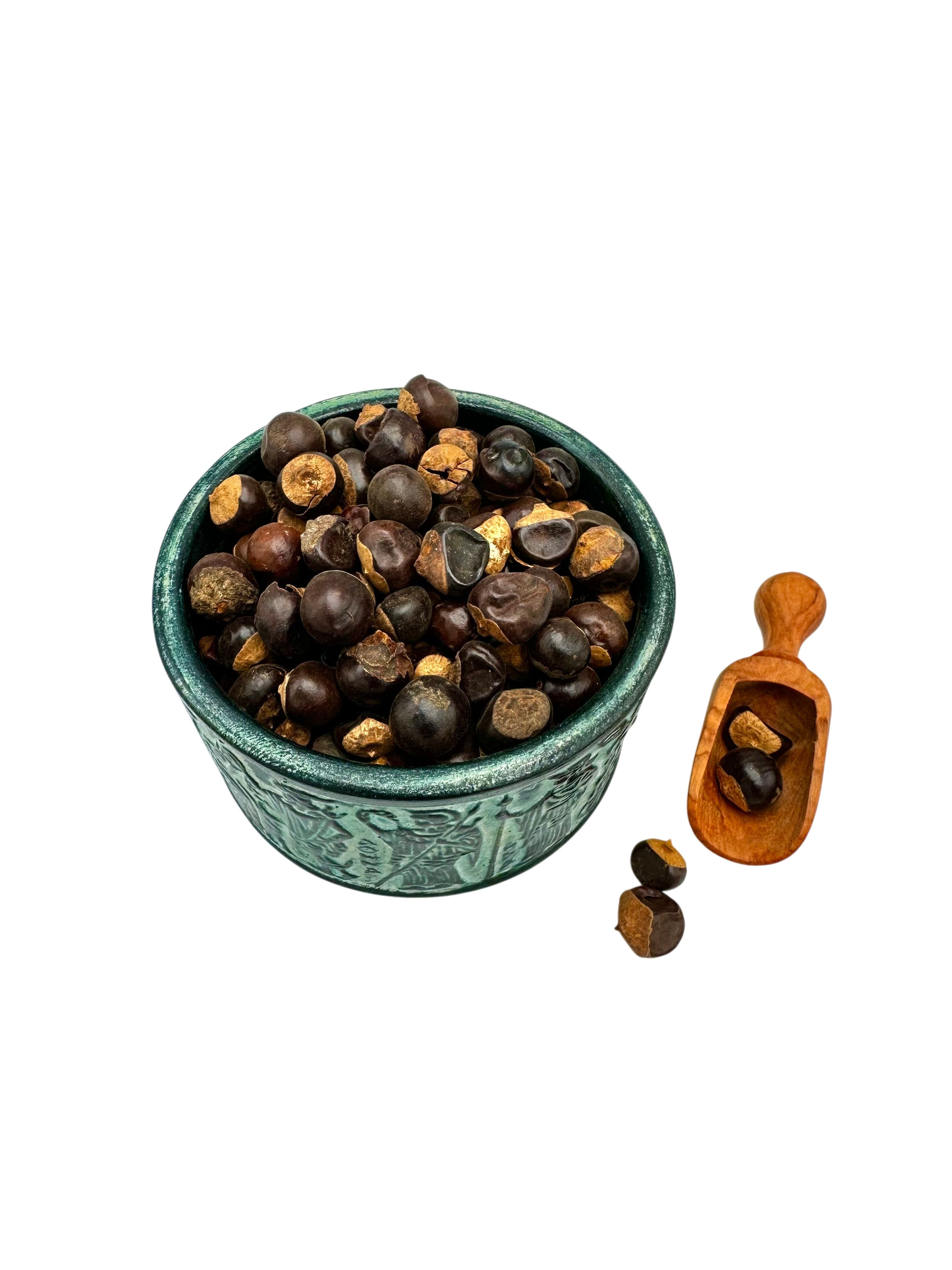 Guarana Whole Loose Seeds ~ Paullinia Cupana