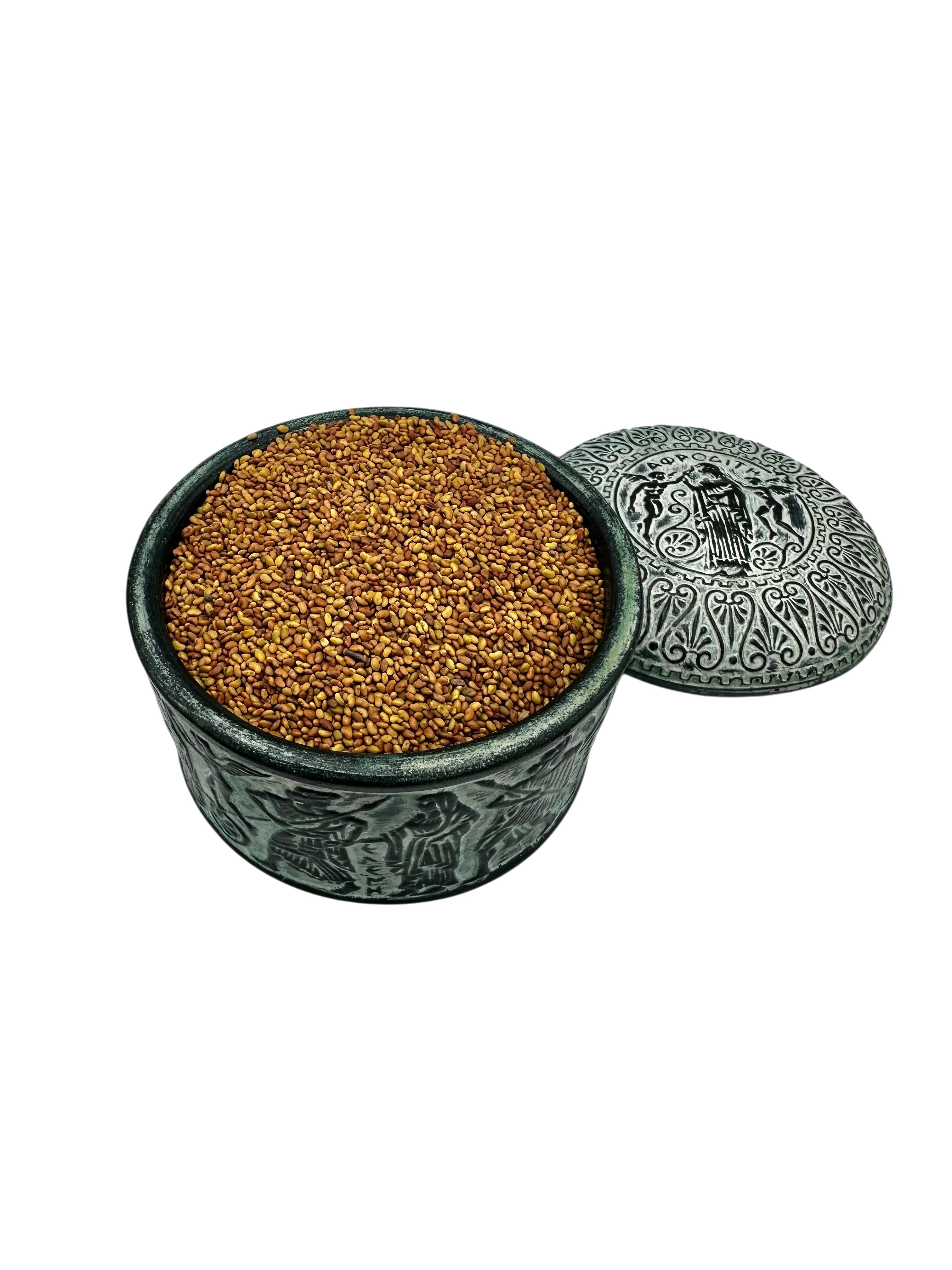 Alfalfa Whole Seeds ~ Medicago Sativa