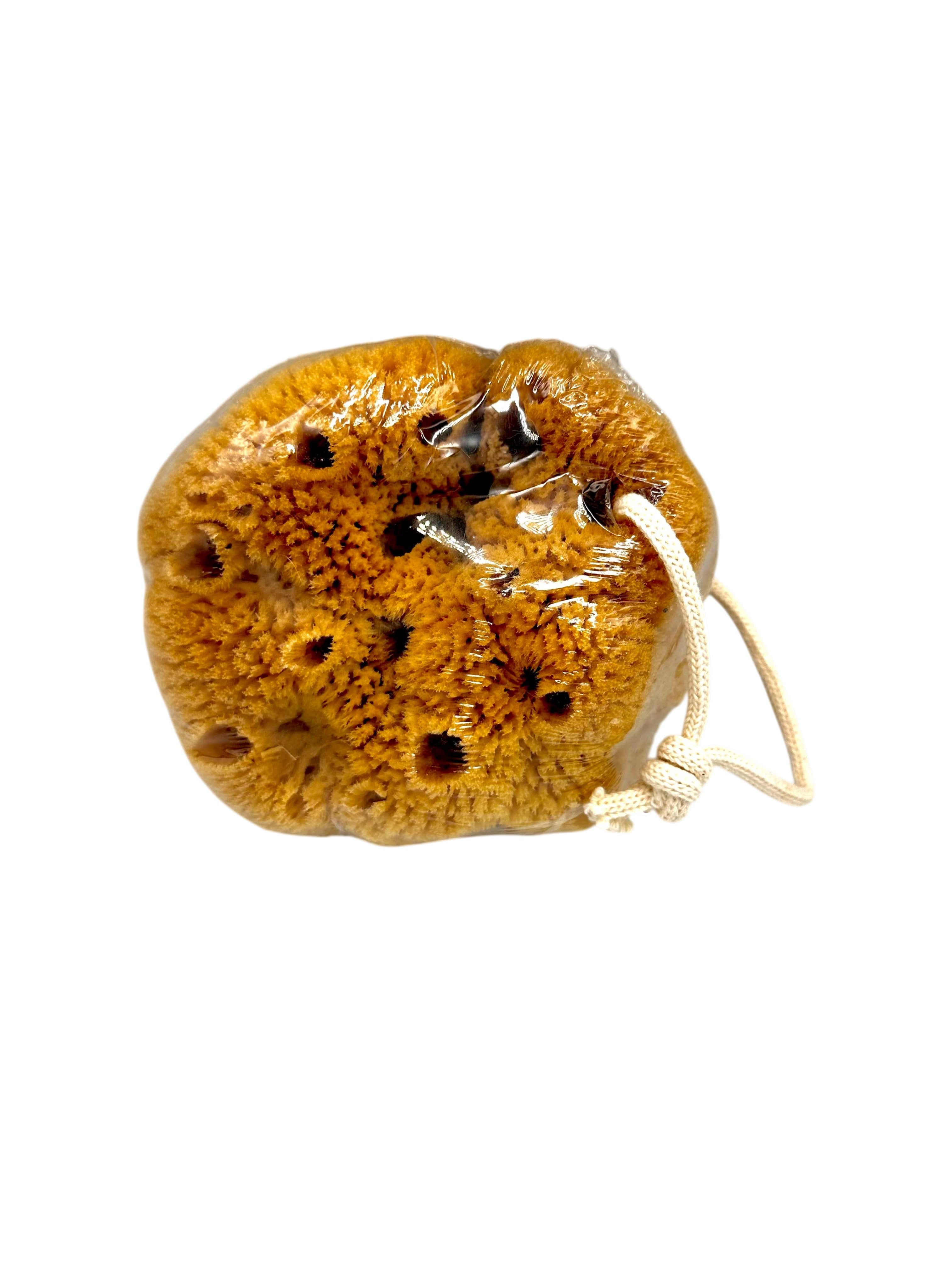 Natural Greek Unbleached Honeycomb Sea Sponge from Kalymnos