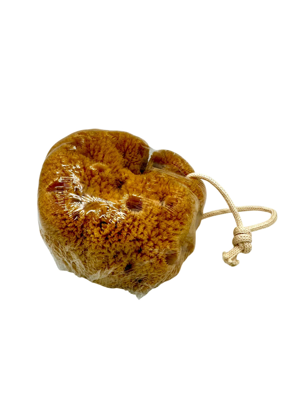 Natural Greek Unbleached Honeycomb Sea Sponge from Kalymnos