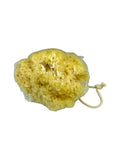 Greek Natural Sea Sponge from Kalymnos