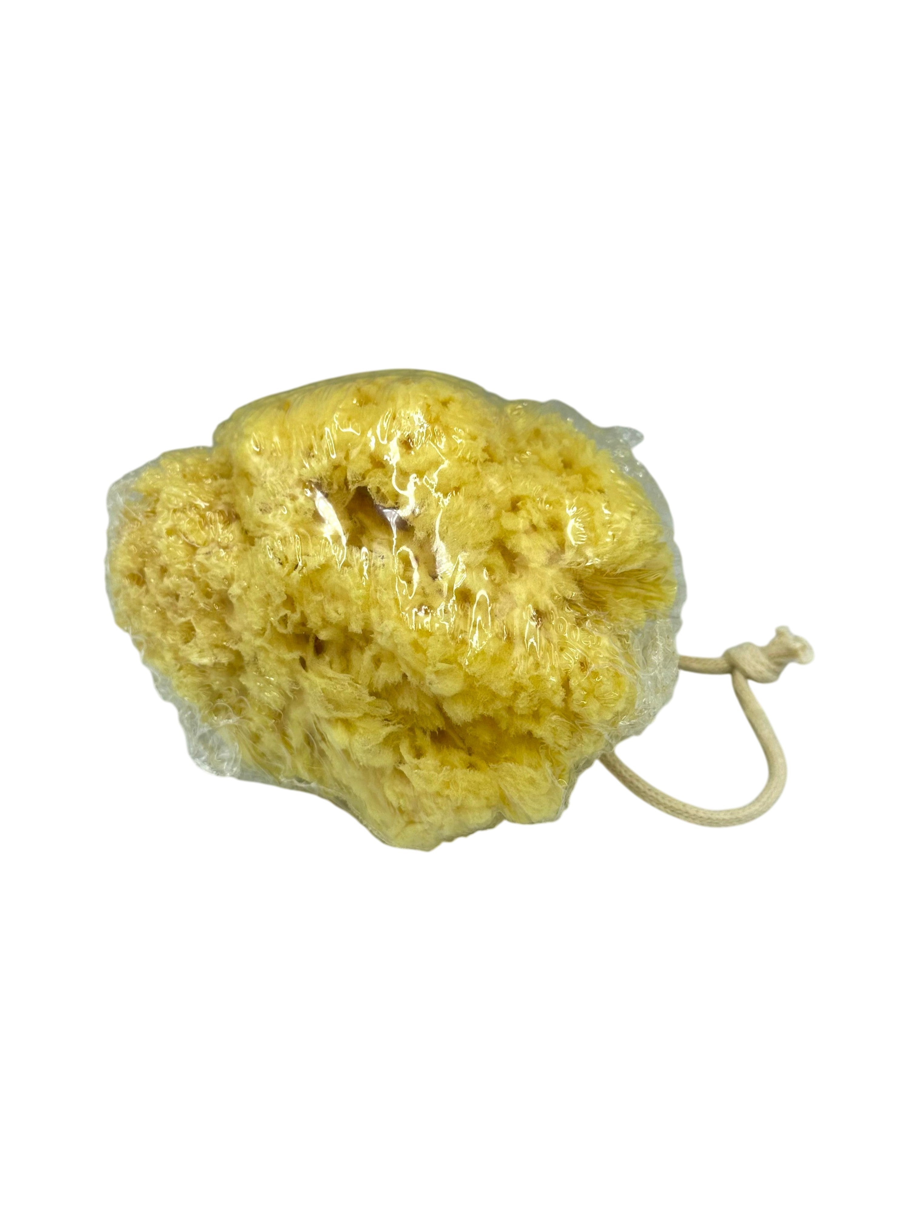 Greek Natural Sea Sponge from Kalymnos