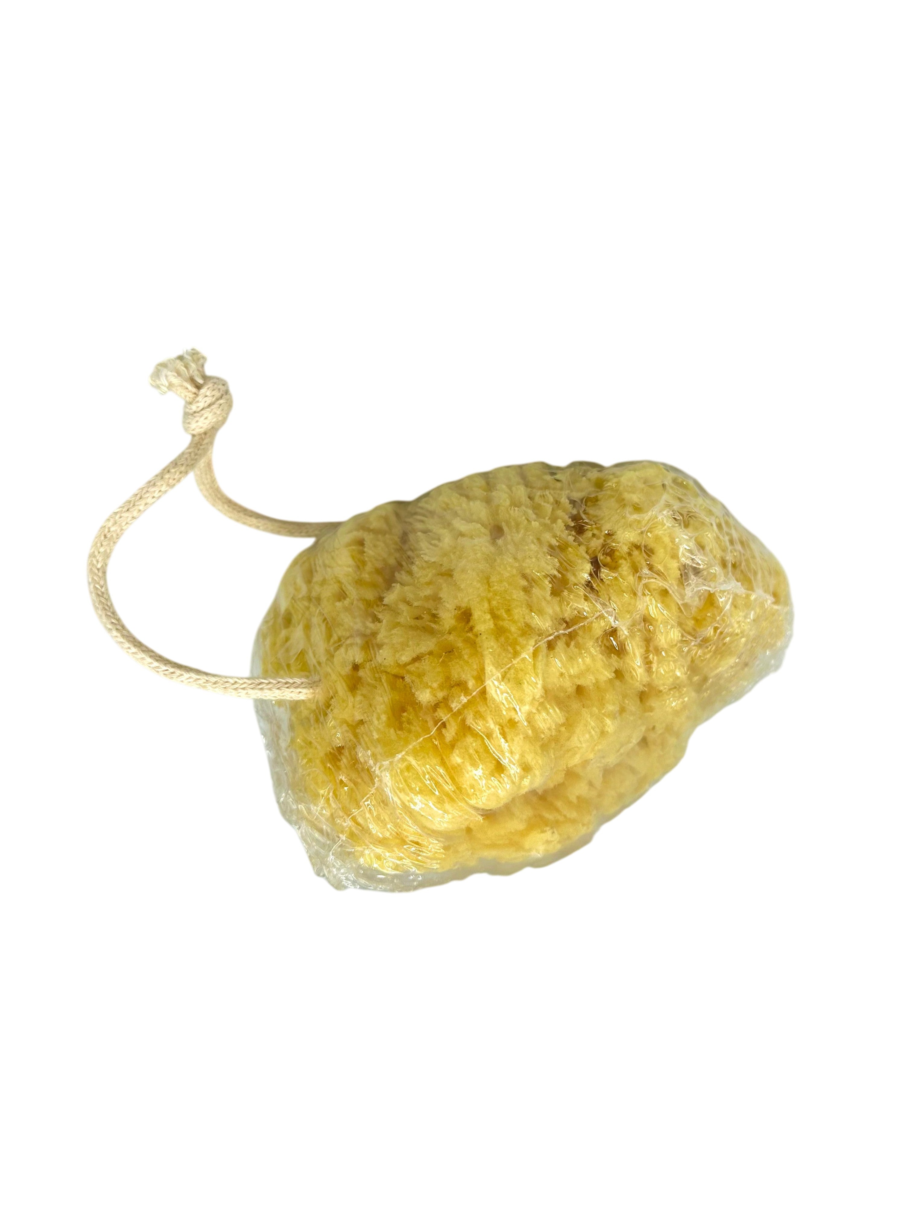 Greek Natural Sea Sponge from Kalymnos