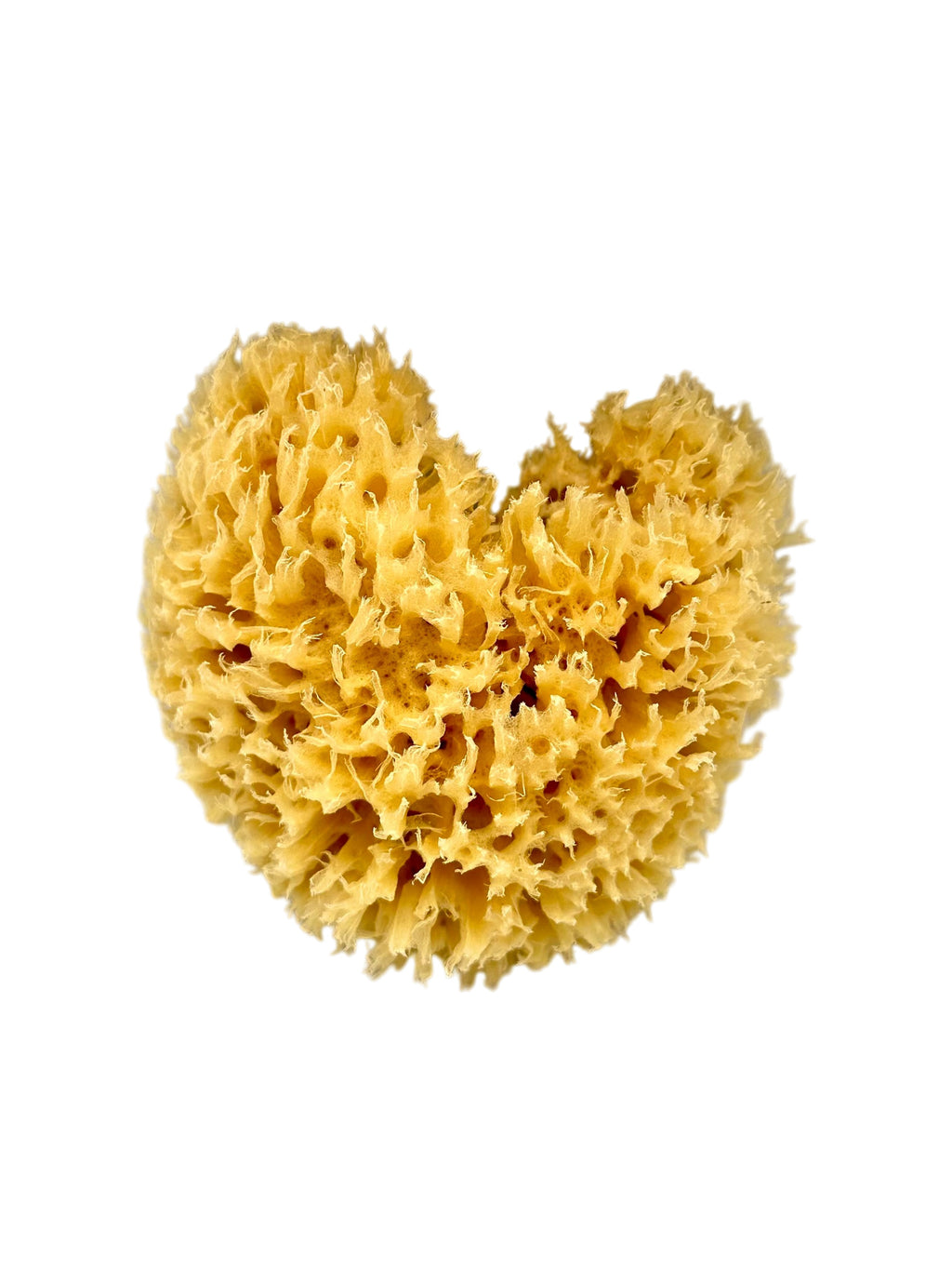 Natural Greek Unbleached Sea Sponge from Kalymnos