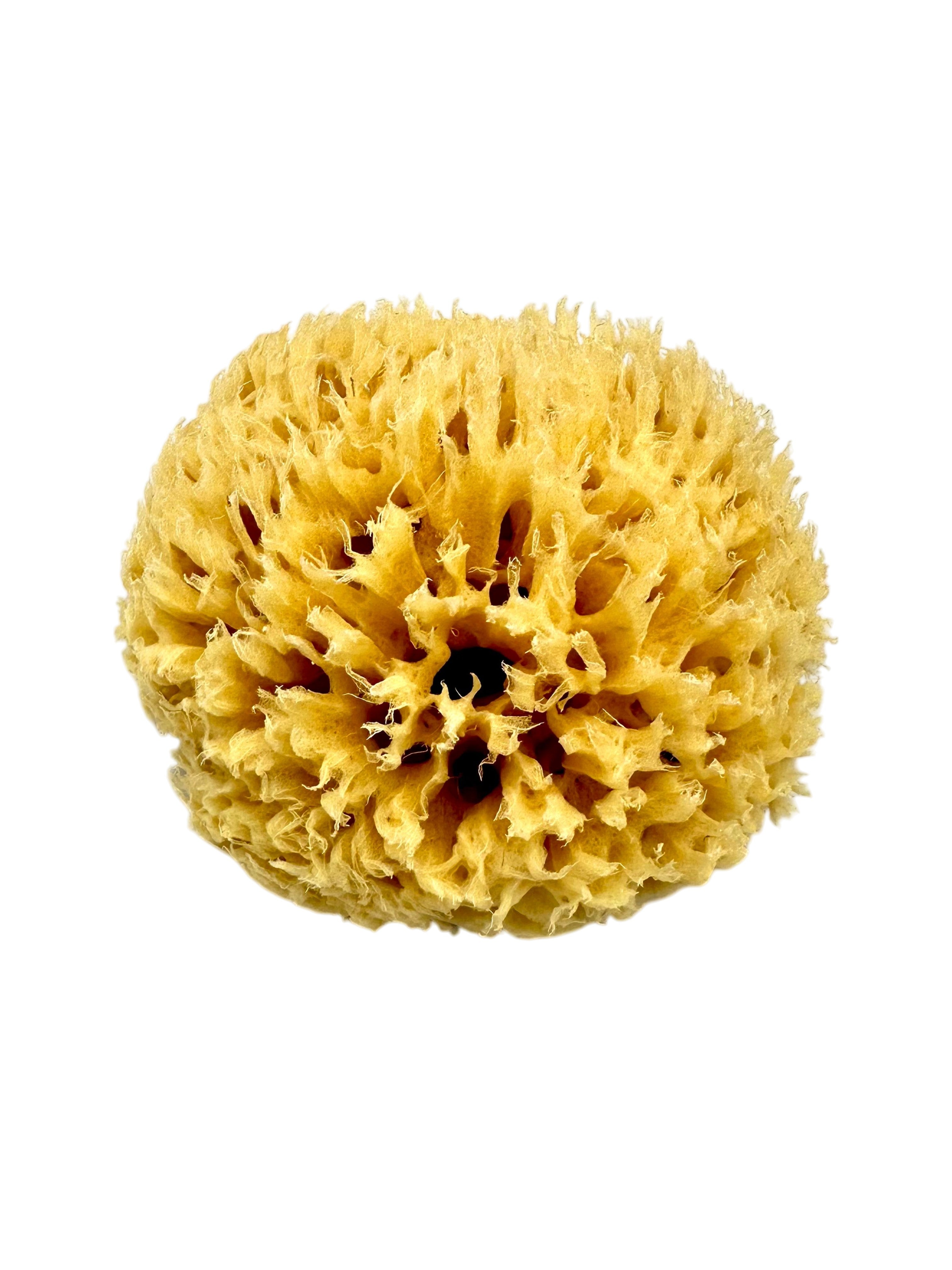 Natural Greek Unbleached Sea Sponge from Kalymnos