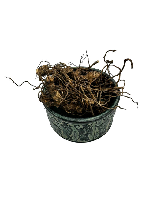 Butcher's Broom Root Whole Rhizoma Herb Herbal Tea ~ Ruscus Aculeatus