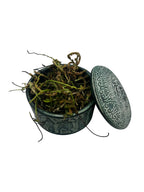 Rustyback Dried Cut Herb - Asplenium Ceterach