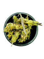 Greek Mountain Olympus Cut Herbal Tea ~ Sideritis Scardica