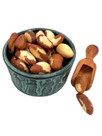 Brazil Nuts ~ Raw Brazilian Nuts ~ Bertholletia excelsa